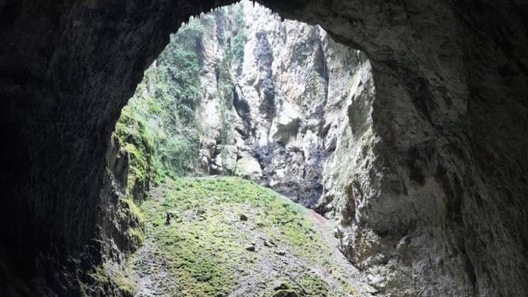 Jamarji v Golokratni jami prvič opazili drobnovratnika