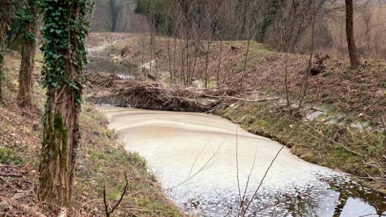 Na Osapski reki se je pojavila pena