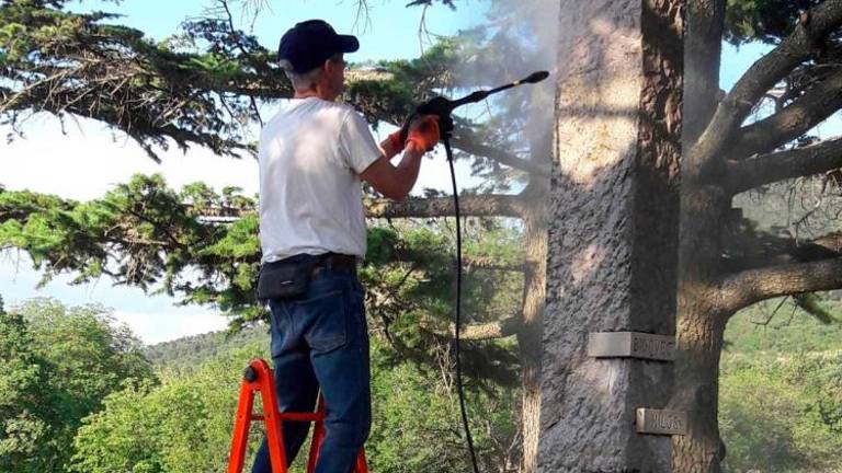 Izpod umazanije zasijala belina kamna