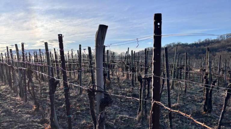 Poledica obiskala še goriški konec