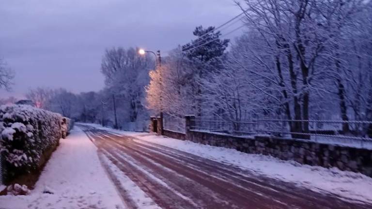 Sneg danes pobelil tudi Goriško (foto)
