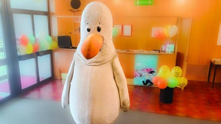 Galebova Klepetava abeceda v dar vsem prvošolčkom