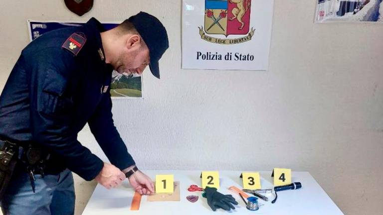 Kradli v avtomobilih ob Napoleonski cesti