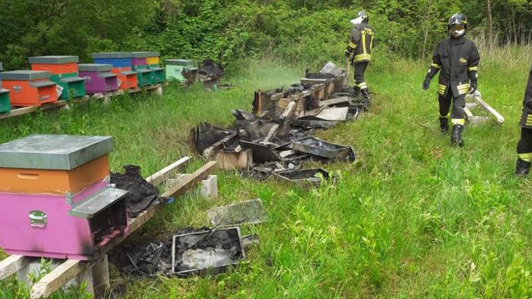 Z ognjem nad čebele