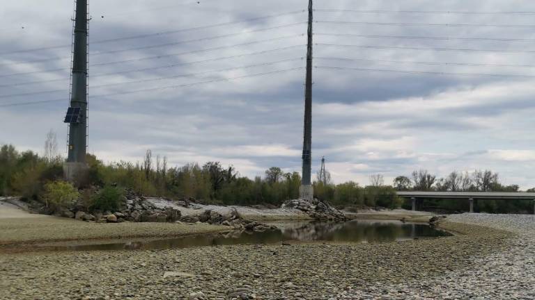 Ribolovna sezona se je na Soči začela s poginom