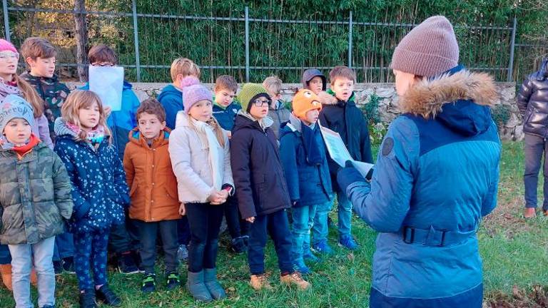 Pri igralih posadili lipo in javor