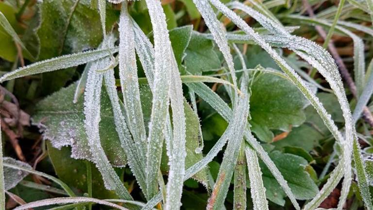 Od sobote nočne temperature blizu ledišča