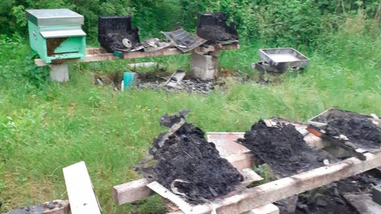 Spletna solidarnost oškodovanim čebelarjem