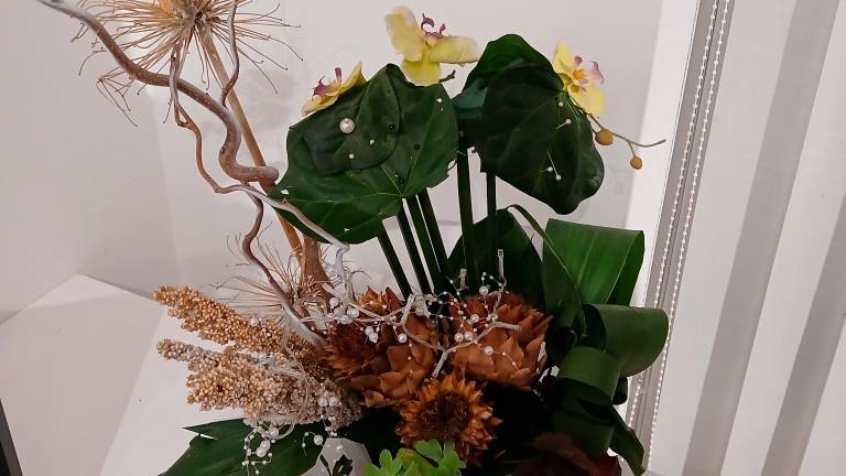 Od rastlinskega sveta do posnetkov urbanih okolij