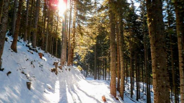 73-letnik z Goriškega umrl na zimskem pohodu s krpljami