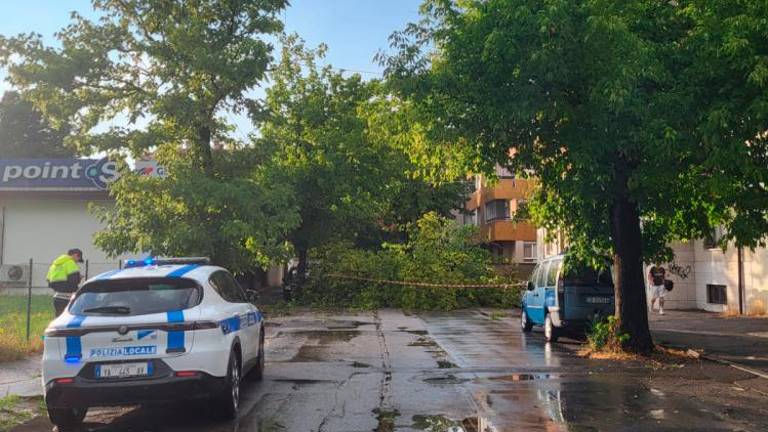 Na Goriškem pustošilo neurje (foto)