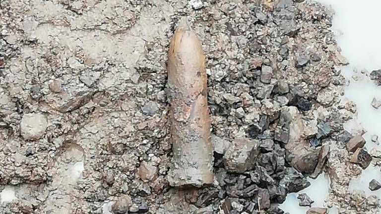 Ubojno sredstvo na grajskem griču