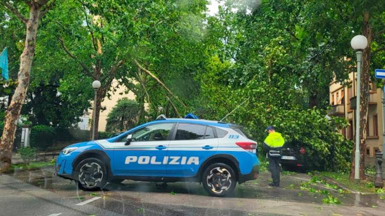 Na Goriškem pustošilo neurje (foto)