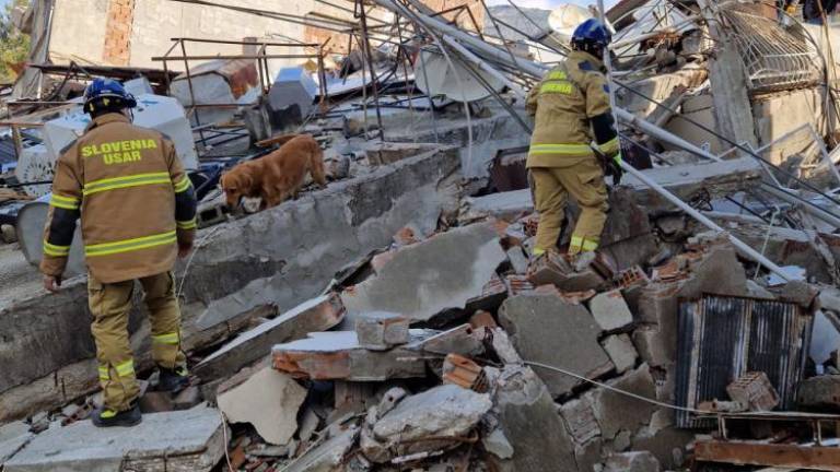 Preživele v potresu iskali tudi reševalni psi iz Slovenije