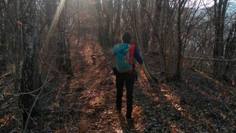 Pri Tipani iščejo pohodnika