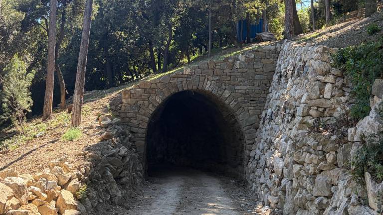 Po štirih desetletjih preporod pešpoti med Miramarskim gradom in postajo