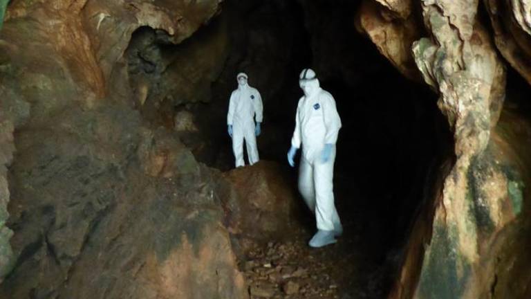 Jamski lovci na netopirje koronaviruse