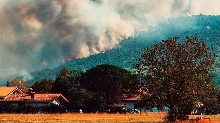 »Po 20. uri ugoden trenutek, da požar napademo z vsemi silami«