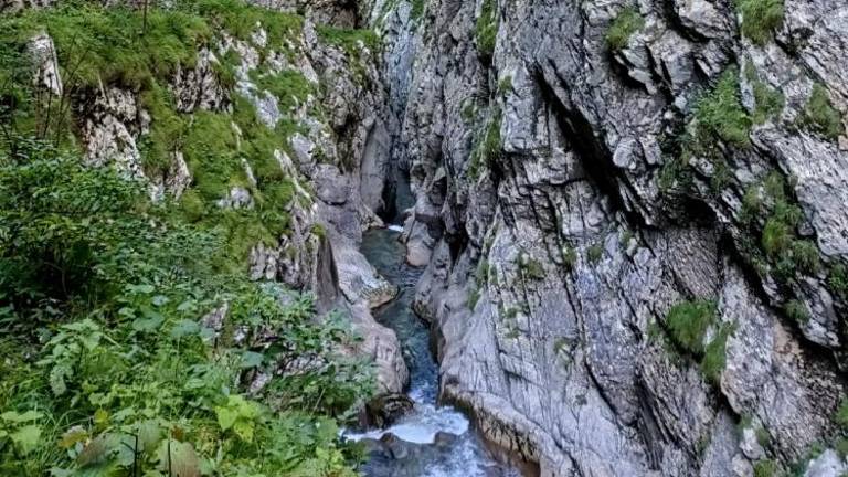 Tržačana v Karniji obšla usodna slabost