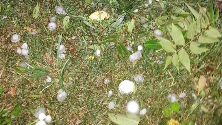 Na Goriškem ogromna škoda zaradi vremenske ujme