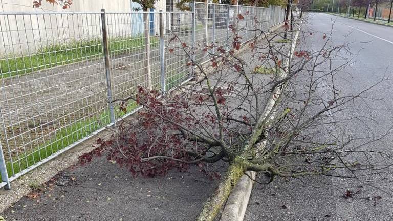 Nočno neurje povzročilo škodo v Sovodnjah