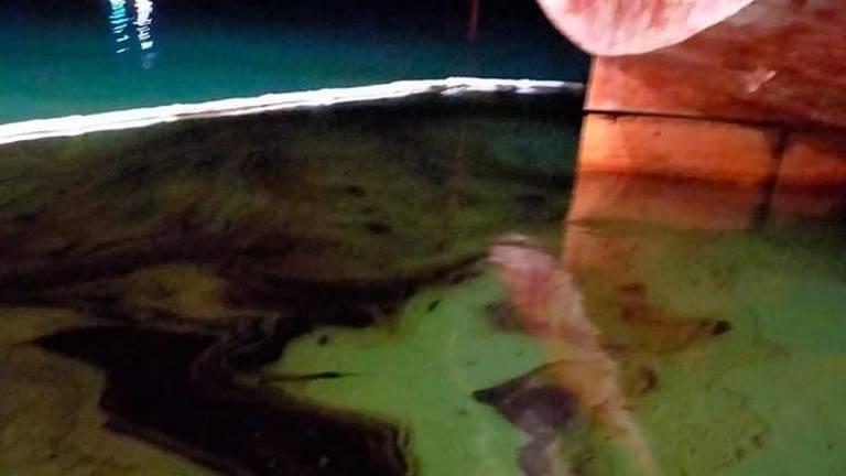 V Marini Julia še vedno prepovedano kopanje