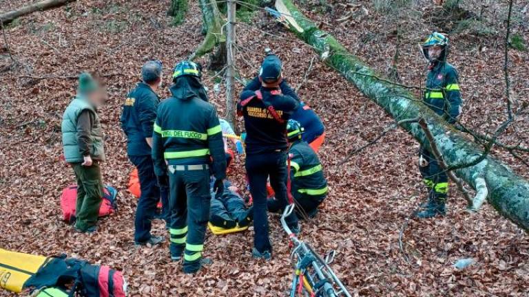 V gozdu med žaganjem poškodovan 61-letnik
