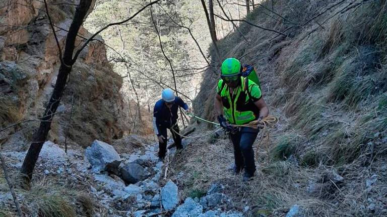 Z dna soteske rešili dva psička