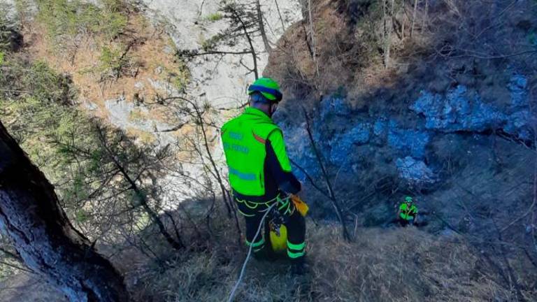 Z dna soteske rešili dva psička