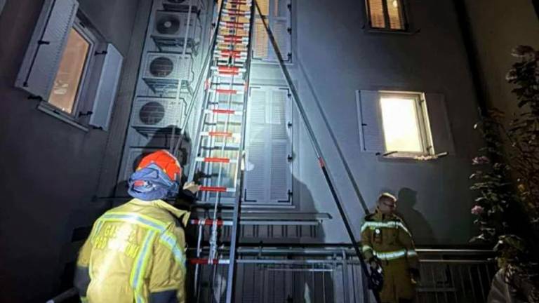 Koprski gasilci uničili petnajst gnezd nevarnih orientalskih sršenov