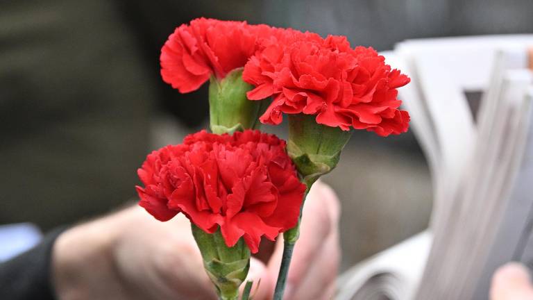 Shodi za pravice delavcev, diplomacijo in mir