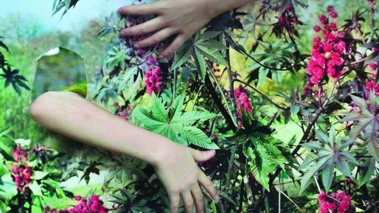 Vanja Bućan ustvarila kamuflažo v kulturi