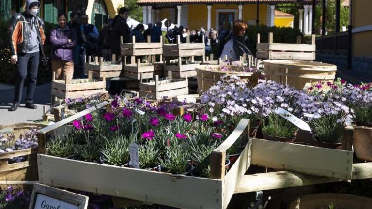 Prireditev Horti Tergestini vabi konec tedna v svetoivanski park