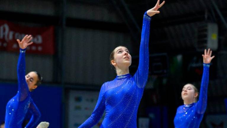 Tradicionalna Božična akademija Borovih ritmičark