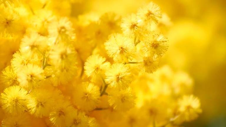 Iskrene čestitke bralkam in spletnim uporabnicam