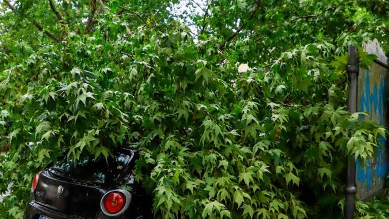 Na Goriškem pustošilo neurje (foto)