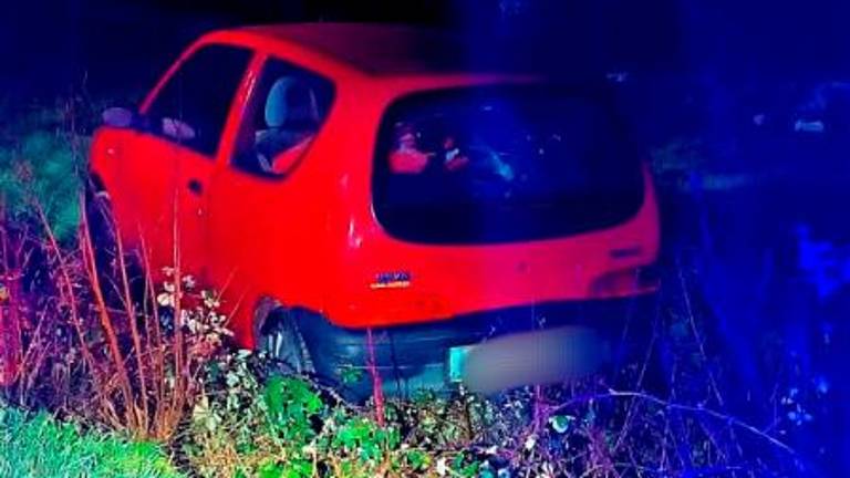 S fiatom 600 zapeljal v grmovje