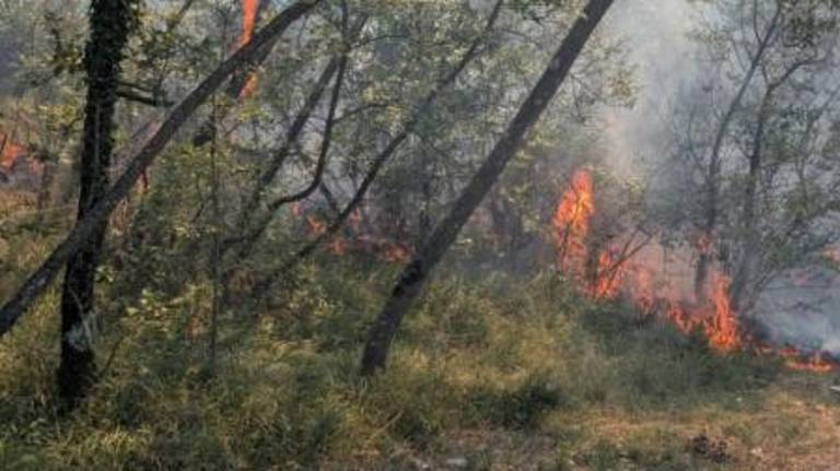 Gorelo je tudi pri Colu