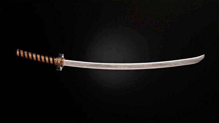 V stanovanje vdrl z nunčaki in katano