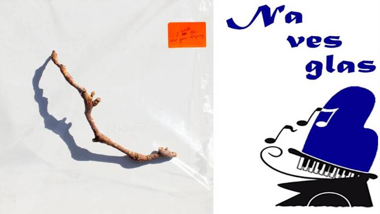 Nekonvencionalen album poezije