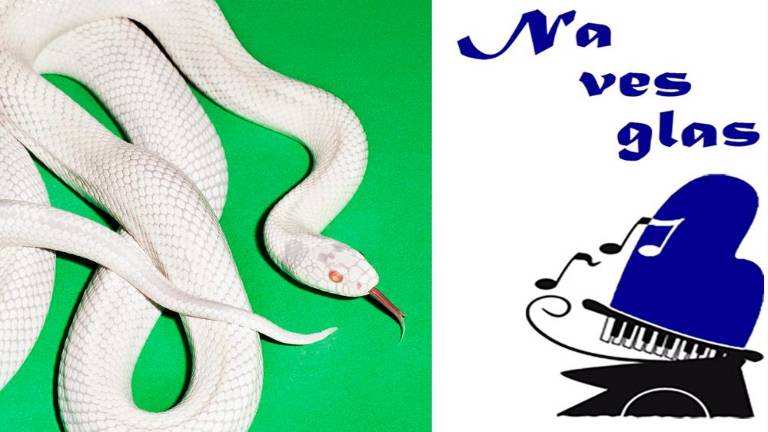 Agresivni komadi s pop primesmi