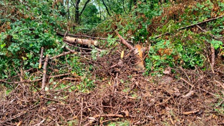 Tudi danes zaradi dežja ni šlo brez posledic