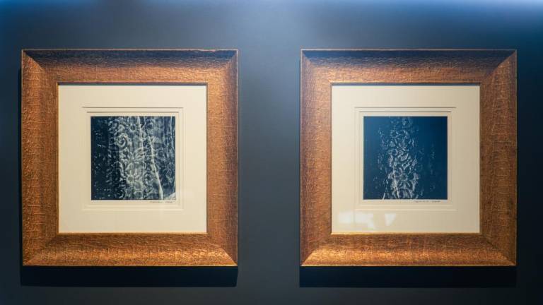 Sodobna umetnost namesto logistike