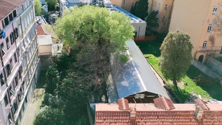 Nove telovadnice nočejo, območje naj ostane zeleno