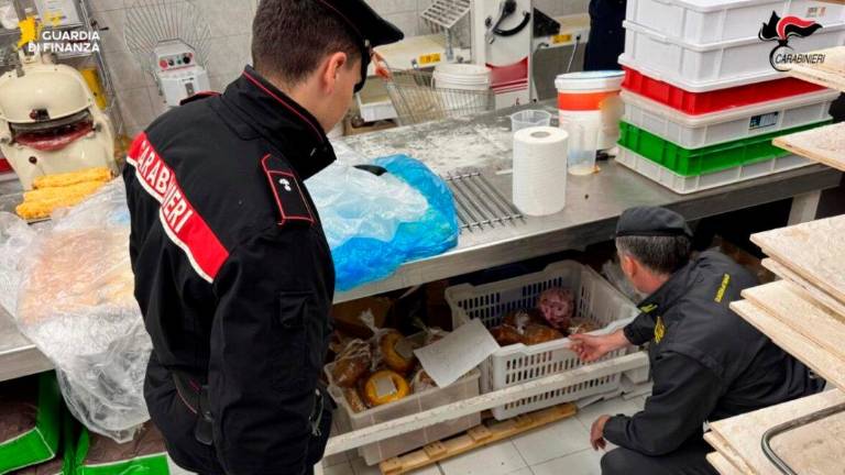Akcijo so izvedli karabinjerji in pripadniki finančne policije (FINANČNA POLICIJA)