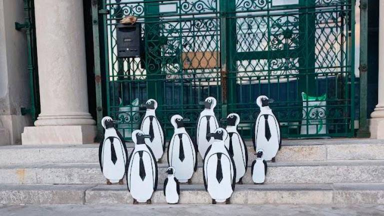 Pingvini pred tržaškim akvarijem