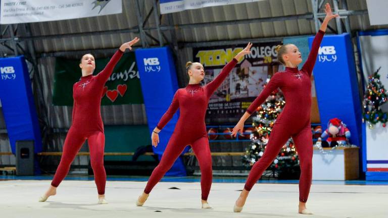 Tradicionalna Božična akademija Borovih ritmičark