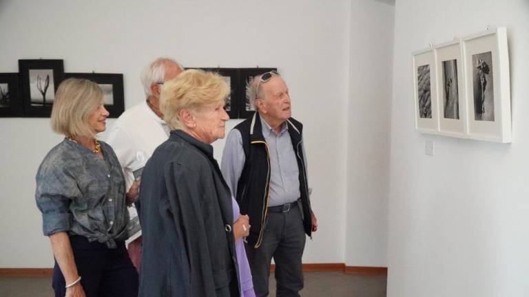 Moderna potujoča pevka