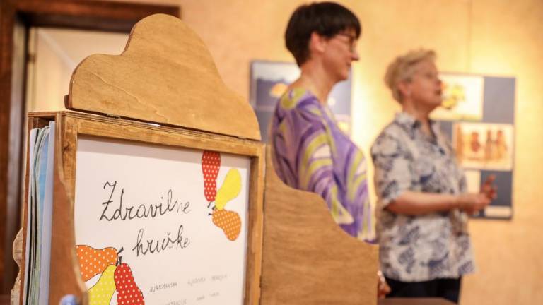 Zgodbe v risbi in besedi