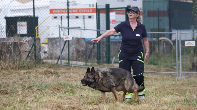 Odkriti želijo zlasti šibke točke